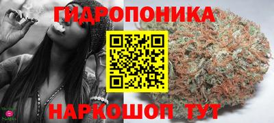 ешки Тверь