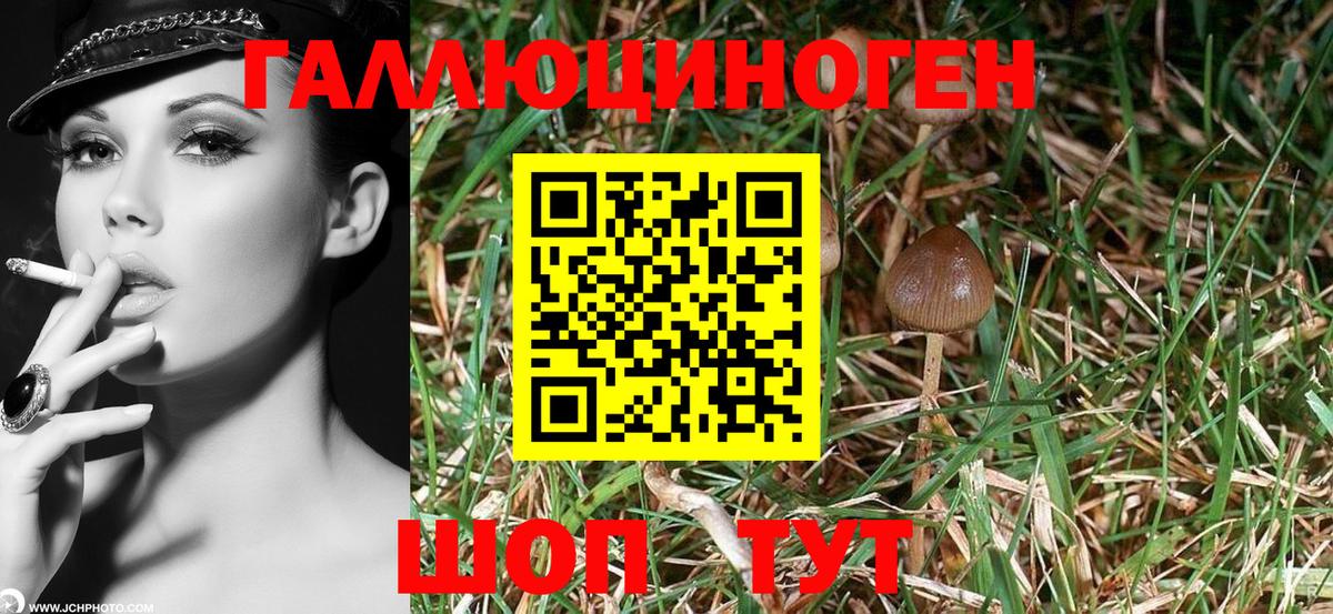 Галлюциногенные грибы Psilocybine cubensis  Галлюциногенные грибы MAGIC MUSHROOMS  Муравленко  Вход с VPN 